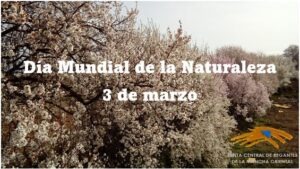 Hoy celebramos el Día Mundial de la Naturaleza. En la JCRMO  trabajamos por la gestión y el uso correcto de los recursos y aprovechamientos para respetarla y cuidarla💚🌍🚜.